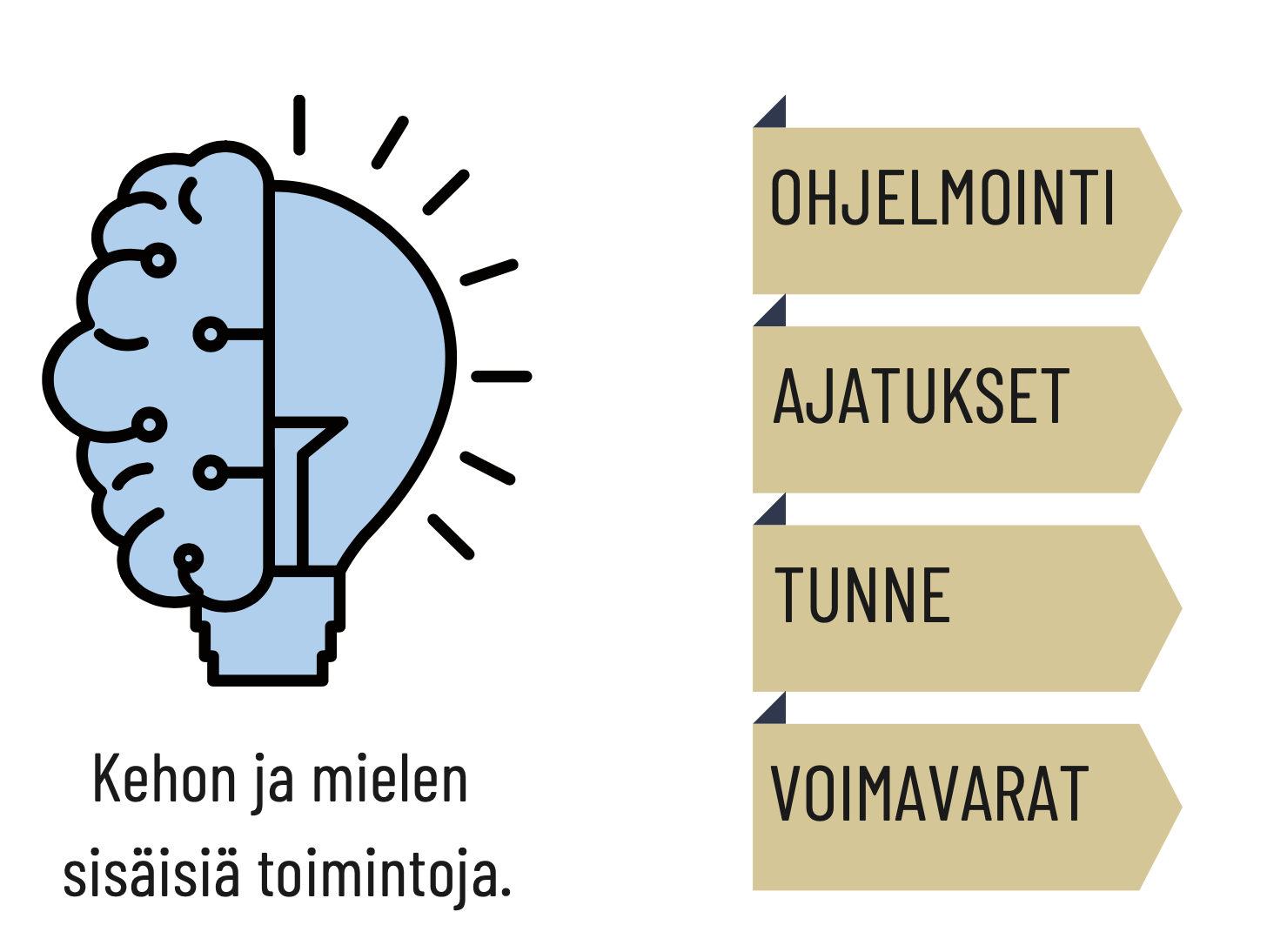 Turvallisuusjohtaja_505